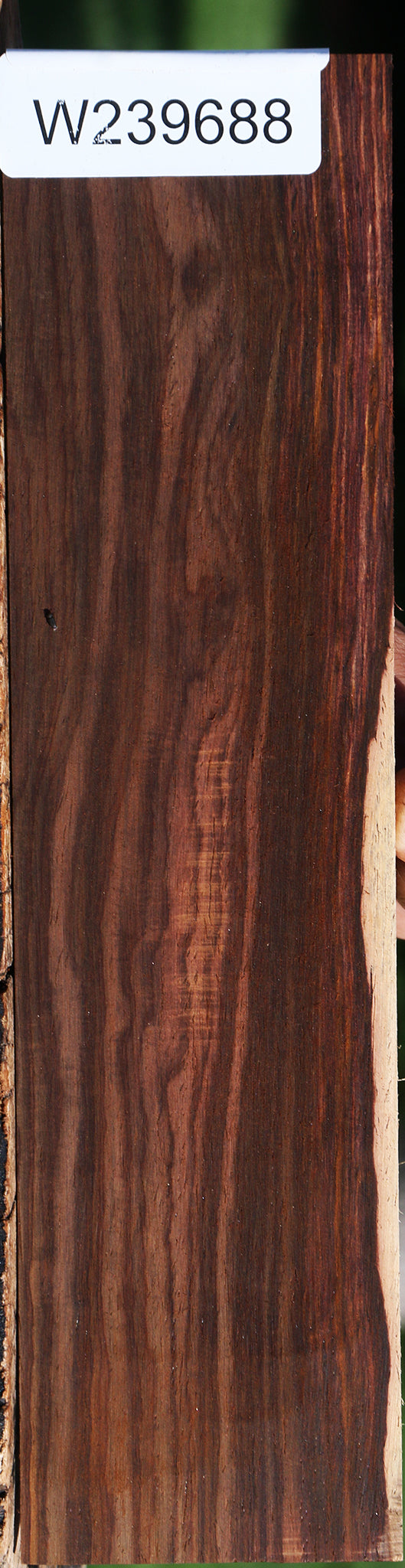 Cocobolo Micro Lumber