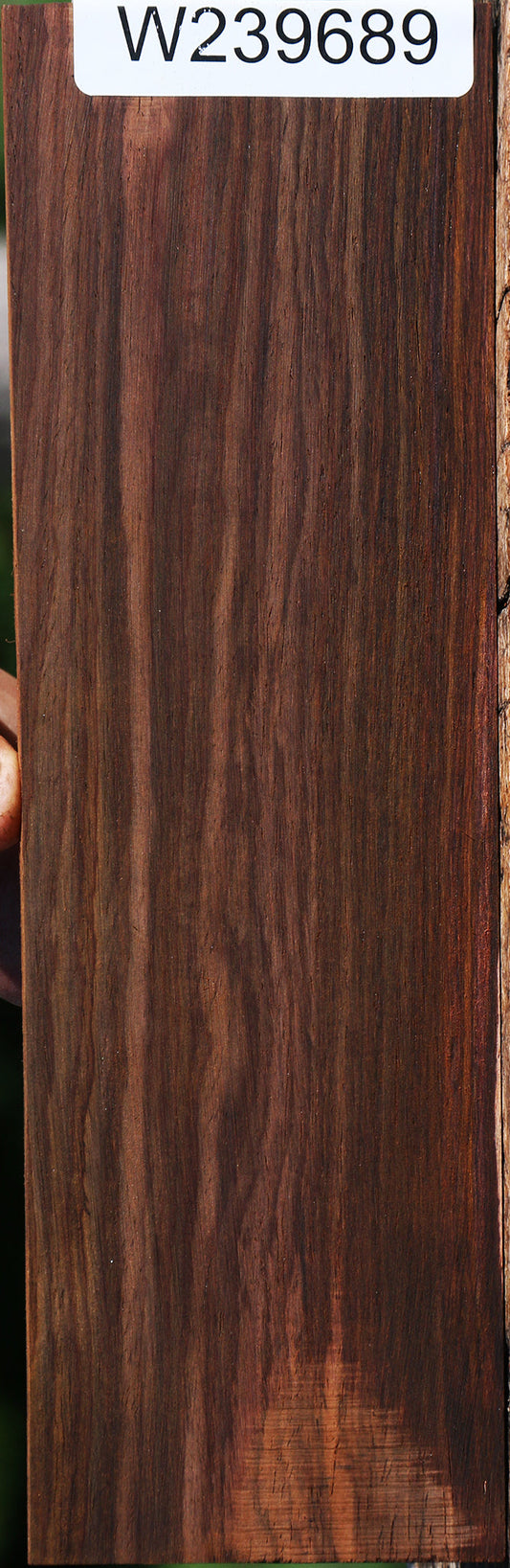 Cocobolo Micro Lumber