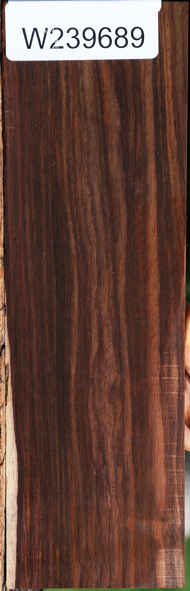 Cocobolo Micro Lumber