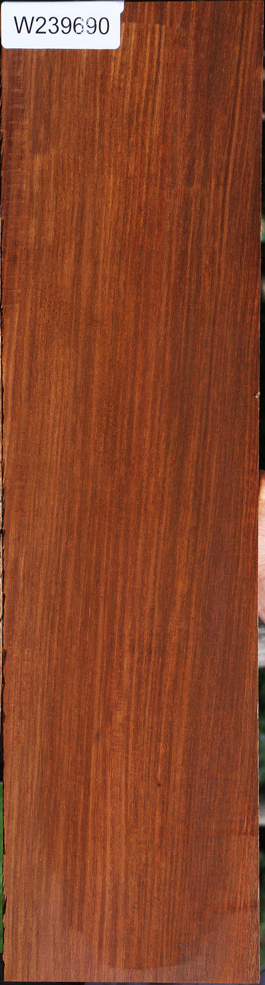 Cocobolo Instrument Micro Lumber