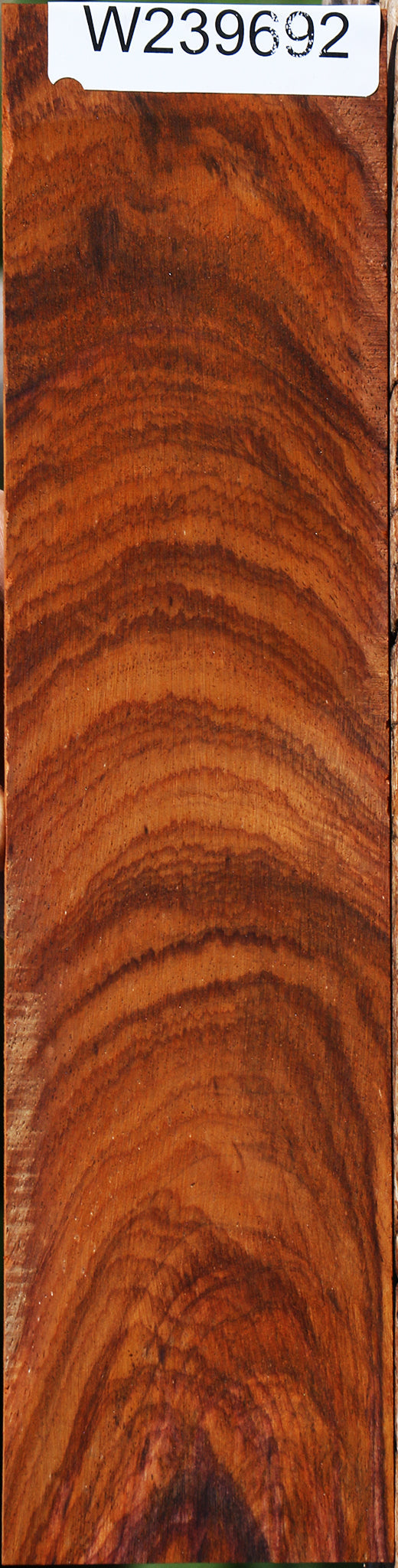 Extra Fancy Cocobolo Micro Lumber