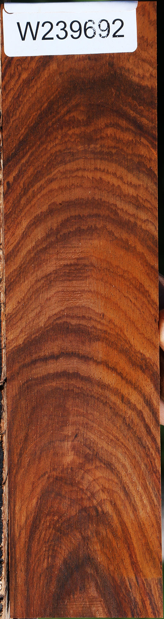 Extra Fancy Cocobolo Micro Lumber