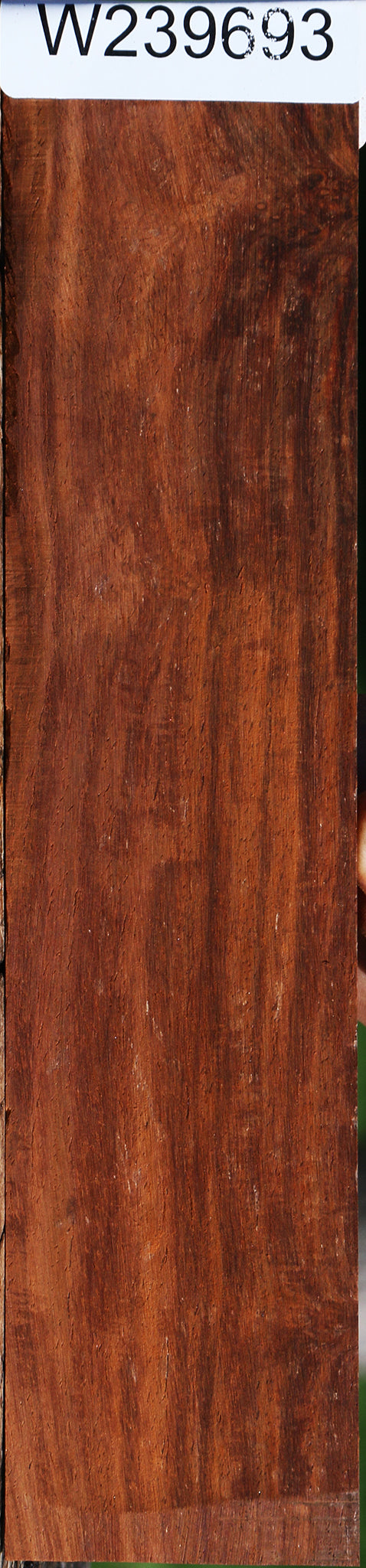 Cocobolo Micro Lumber