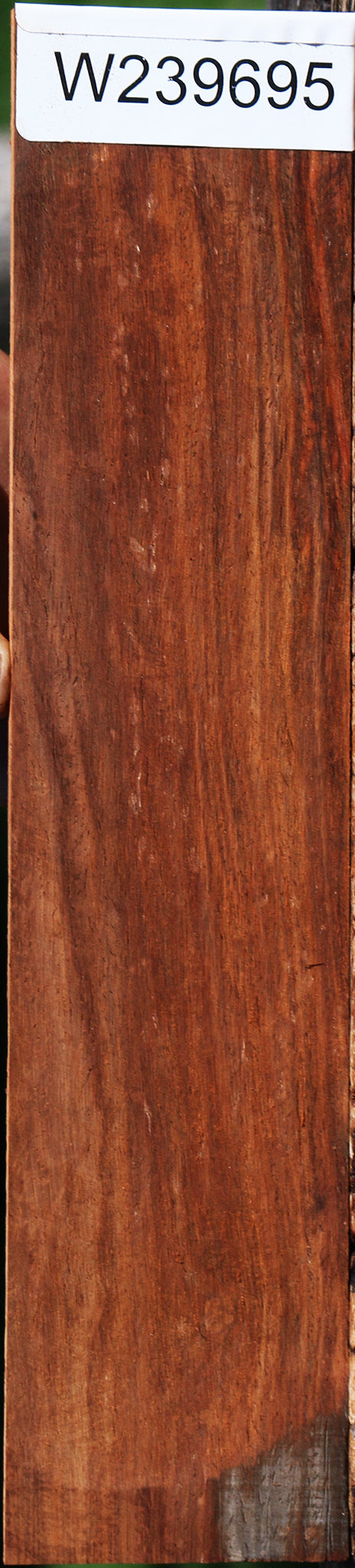 Cocobolo Micro Lumber