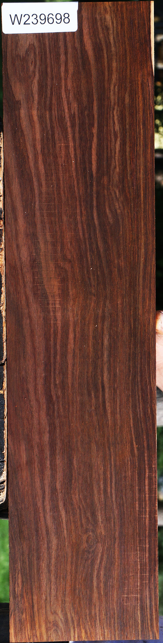 Cocobolo Micro Lumber