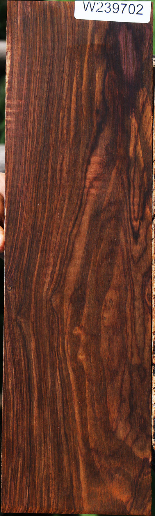Figured Cocobolo Micro Lumber