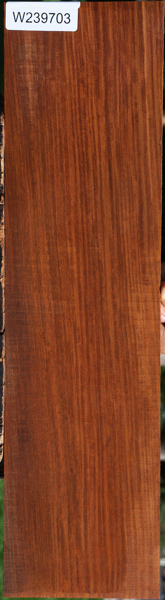 Cocobolo Micro Lumber