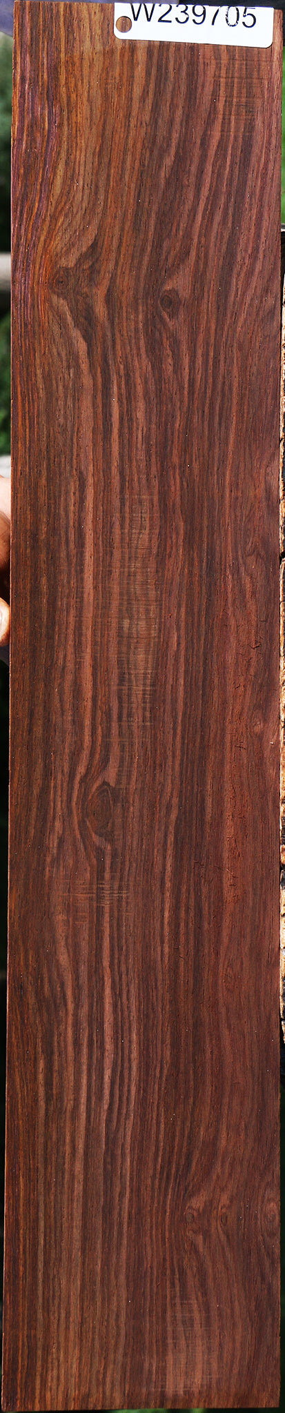 Cocobolo Micro Lumber