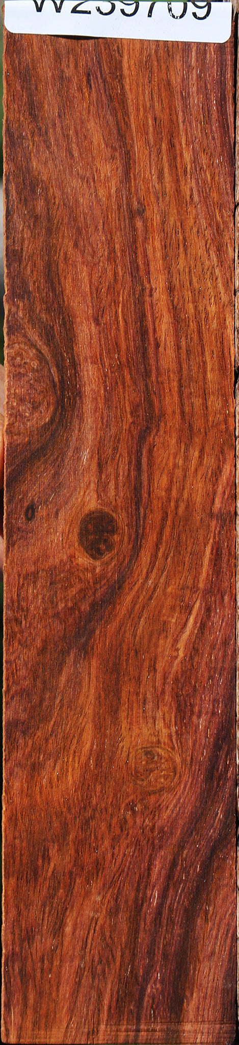 Figured Cocobolo Micro Lumber
