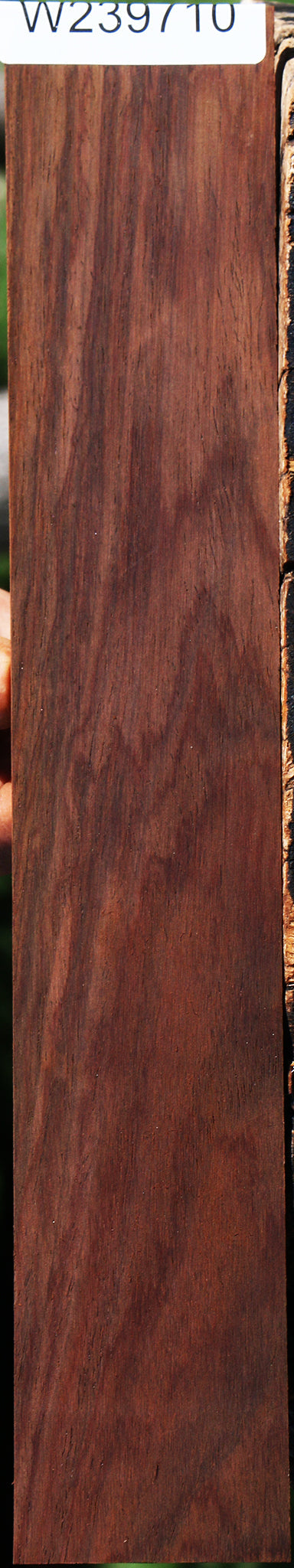 Cocobolo Micro Lumber