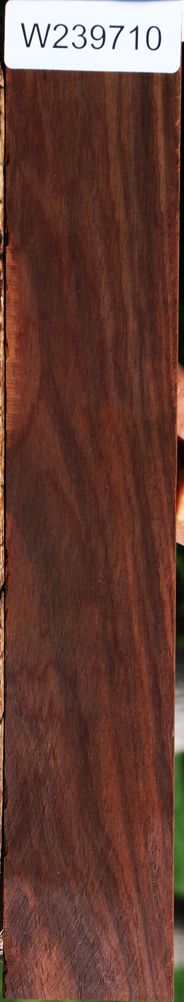 Cocobolo Micro Lumber