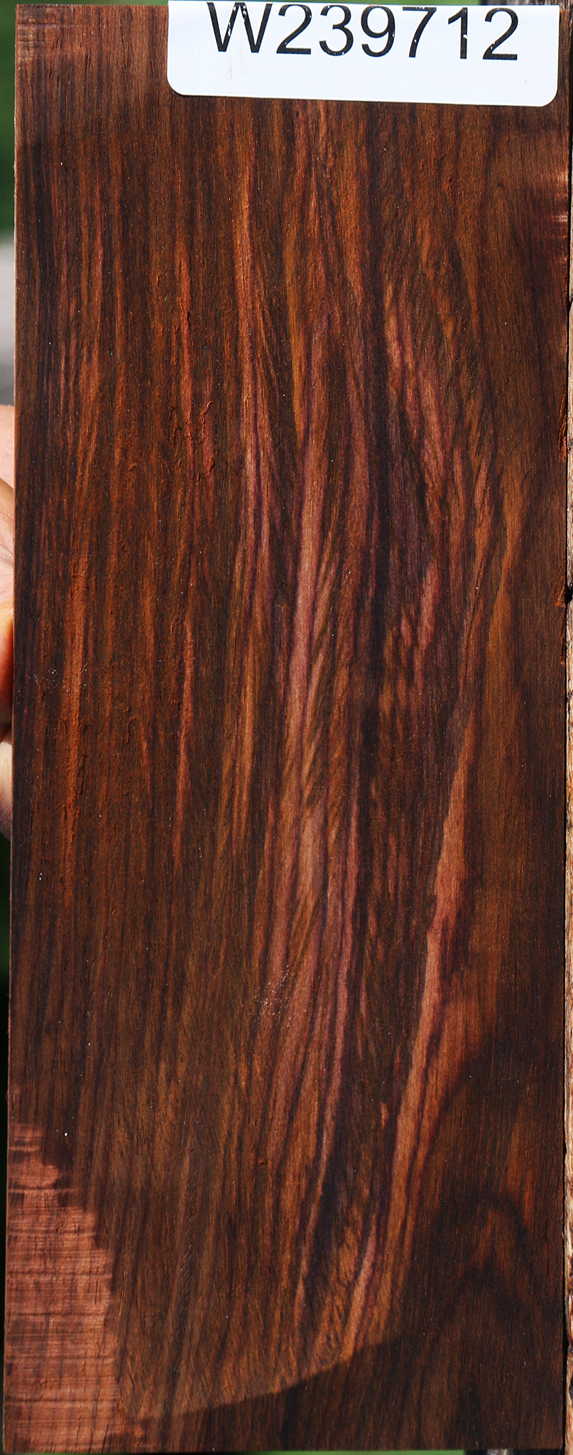 Cocobolo Micro Lumber