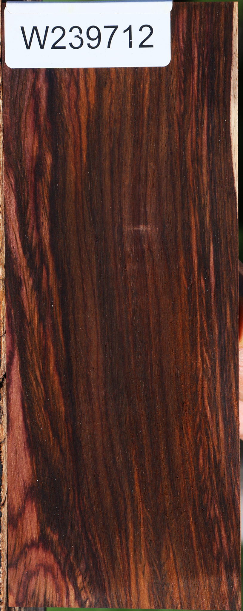 Cocobolo Micro Lumber