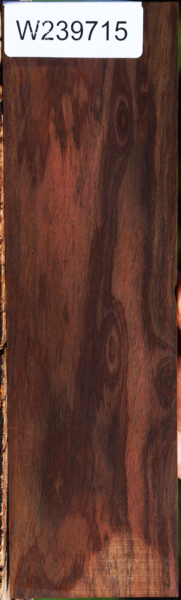 Figured Cocobolo Micro Lumber