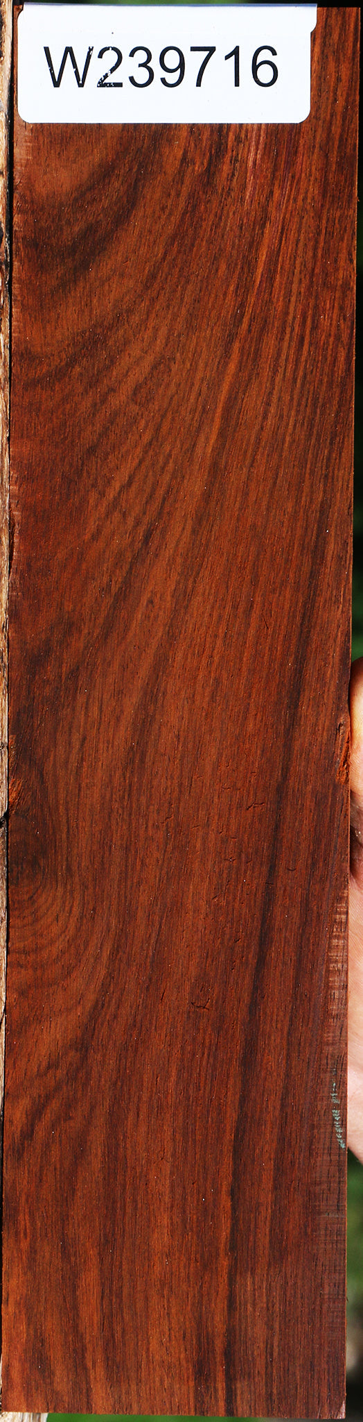 Cocobolo Micro Lumber