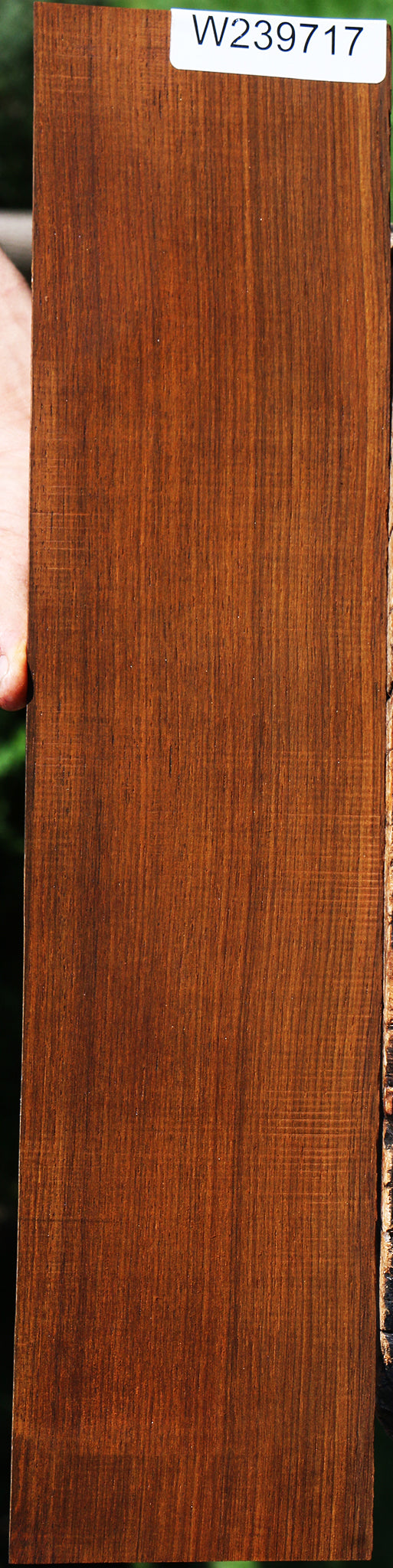 Quartersawn Cocobolo Micro Lumber