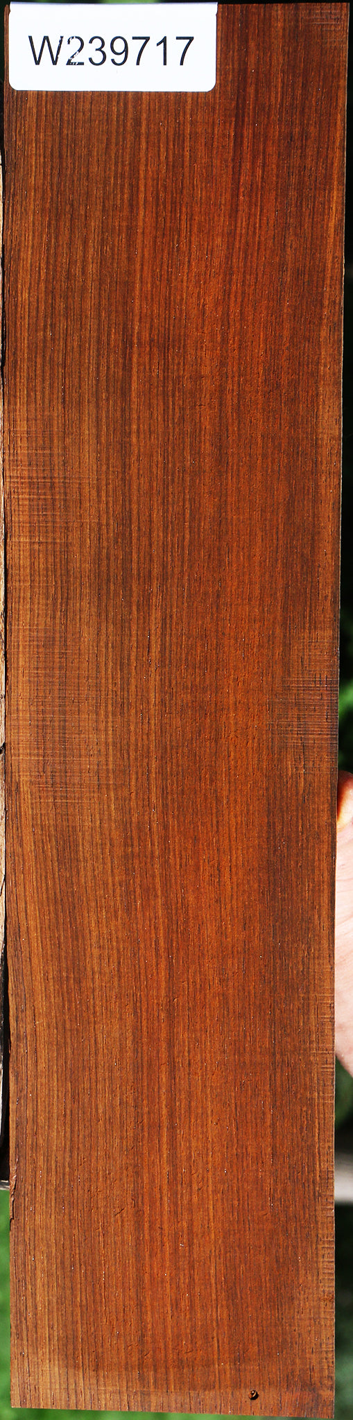 Quartersawn Cocobolo Micro Lumber