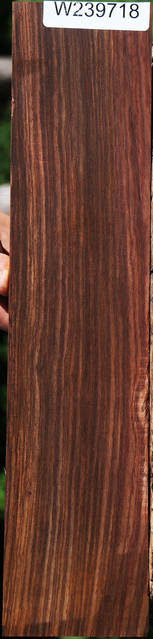Cocobolo Micro Lumber