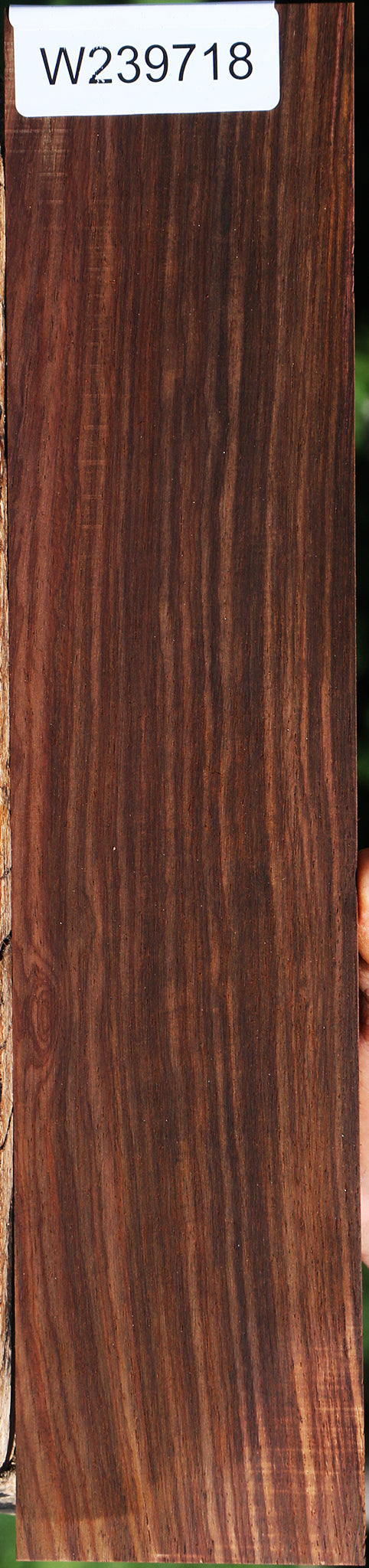 Cocobolo Micro Lumber