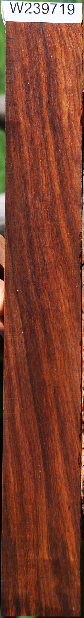 Cocobolo Micro Lumber