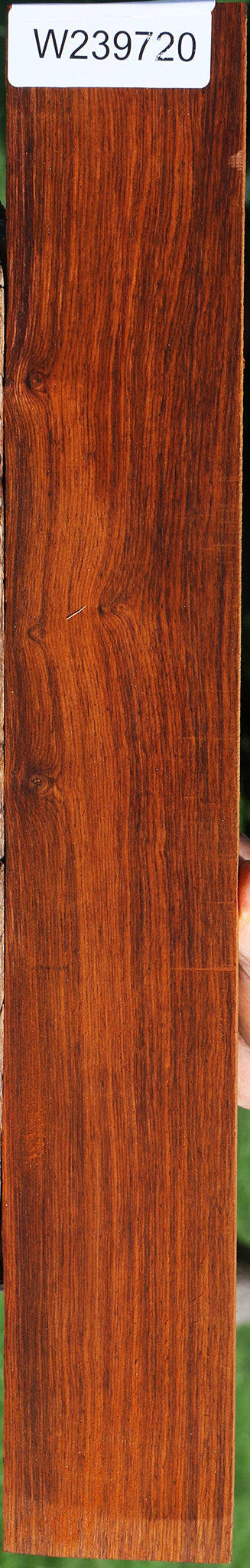 Cocobolo Micro Lumber