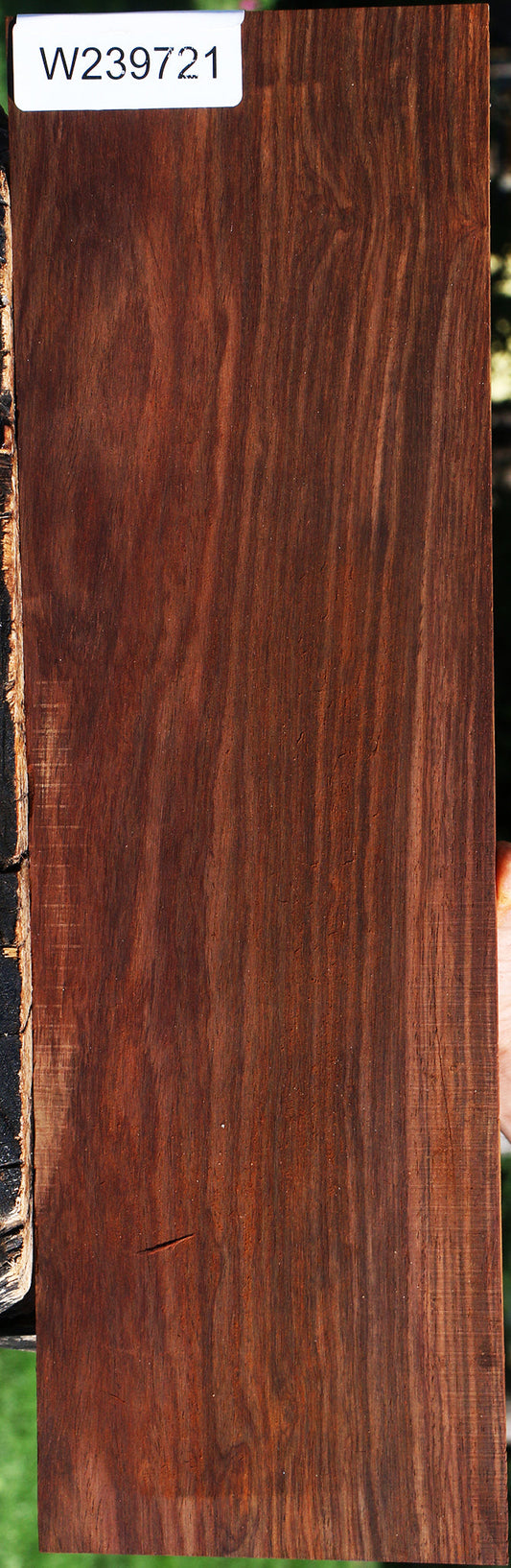 Cocobolo Micro Lumber
