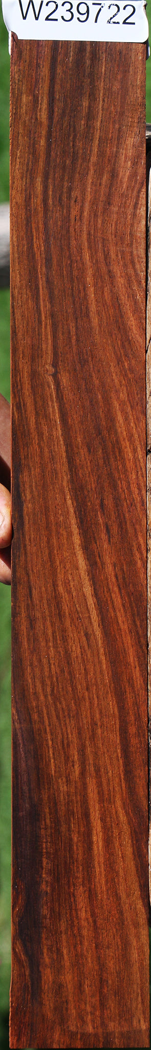 Cocobolo Micro Lumber