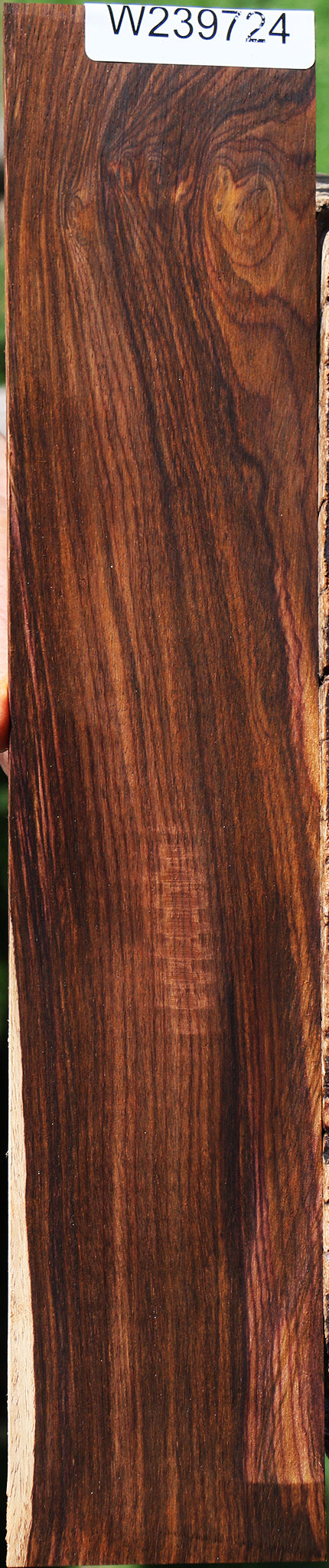 Cocobolo Micro Lumber