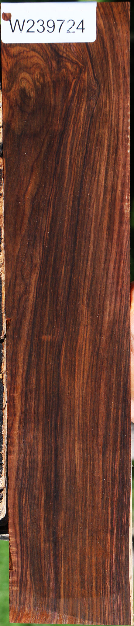Cocobolo Micro Lumber