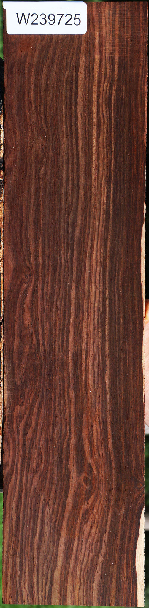 Cocobolo Micro Lumber