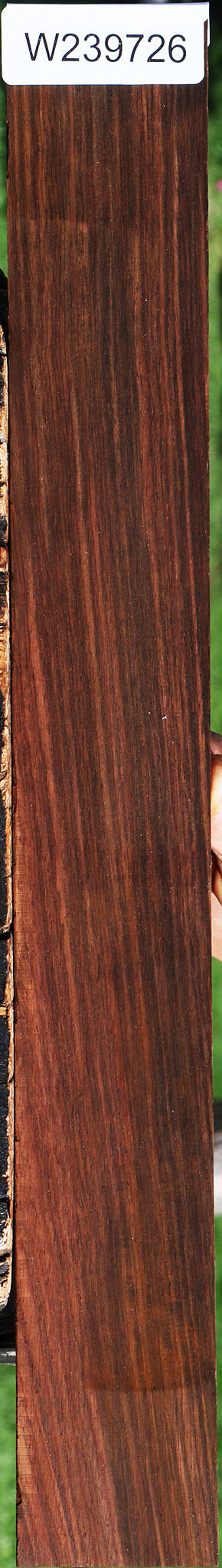 Cocobolo Micro Lumber