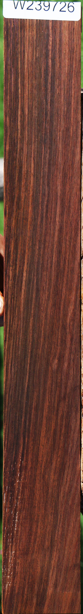 Cocobolo Micro Lumber