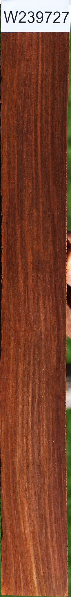 Cocobolo Micro Lumber