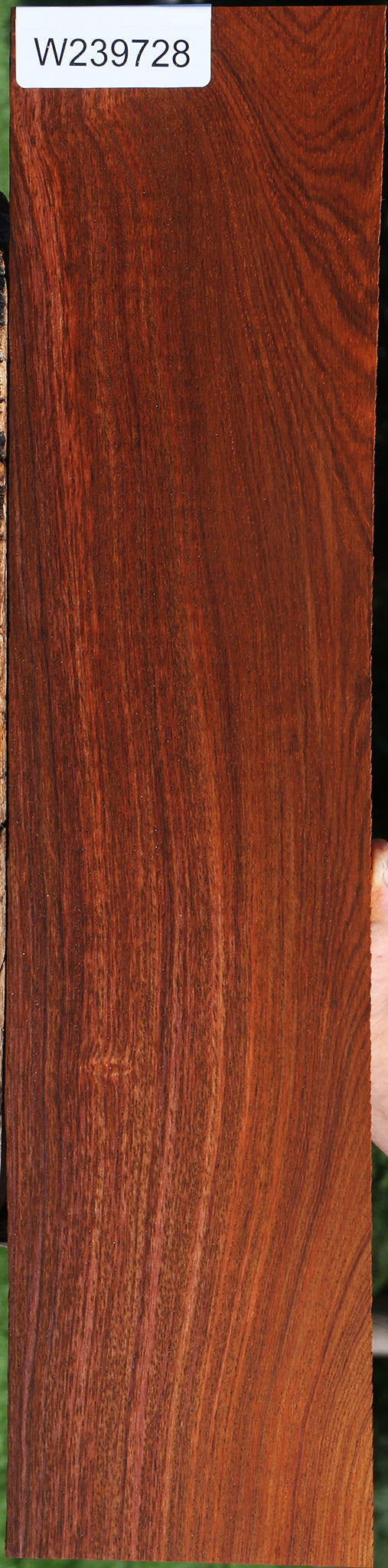Cocobolo Micro Lumber