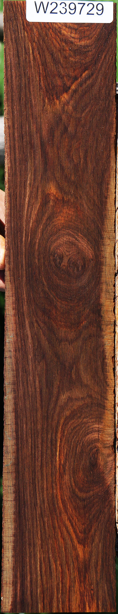 Cocobolo Micro Lumber