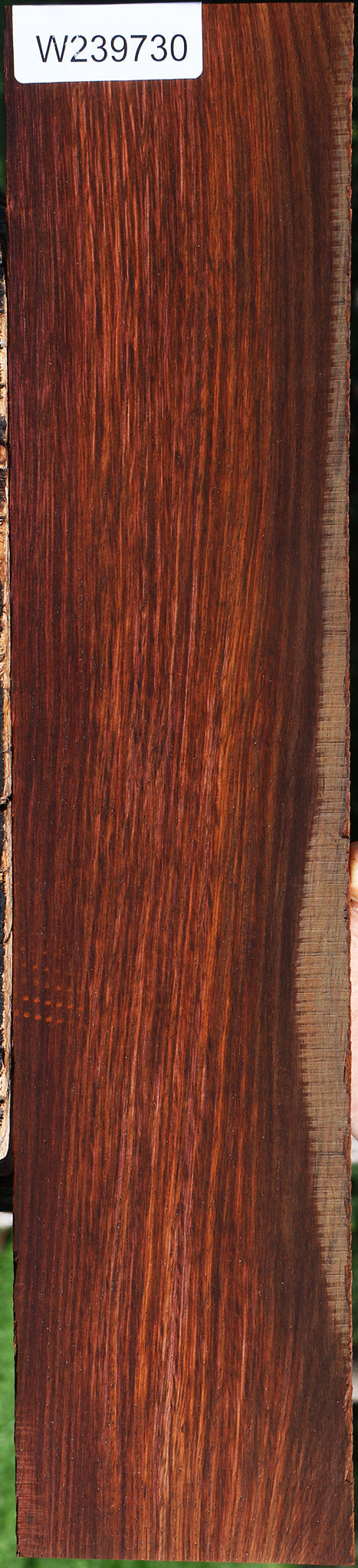 Cocobolo Micro Lumber