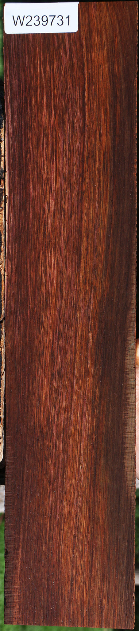 Figured Cocobolo Micro Lumber