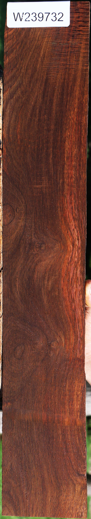 Figured Cocobolo Micro Lumber