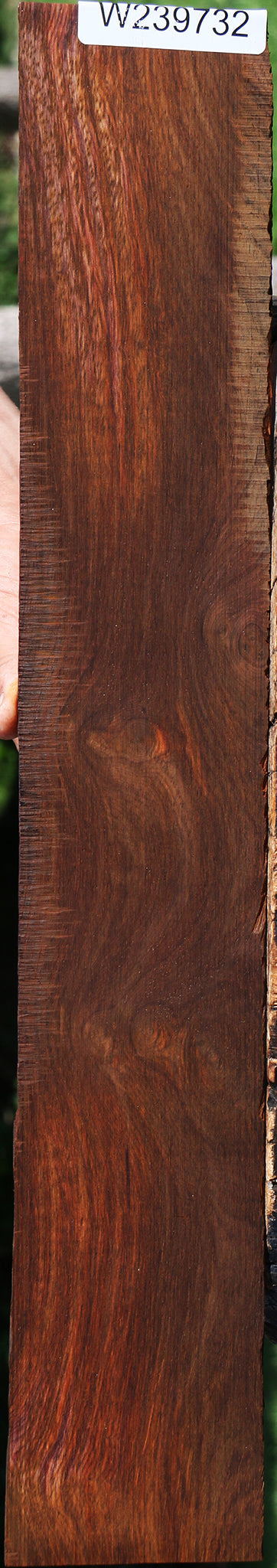 Figured Cocobolo Micro Lumber