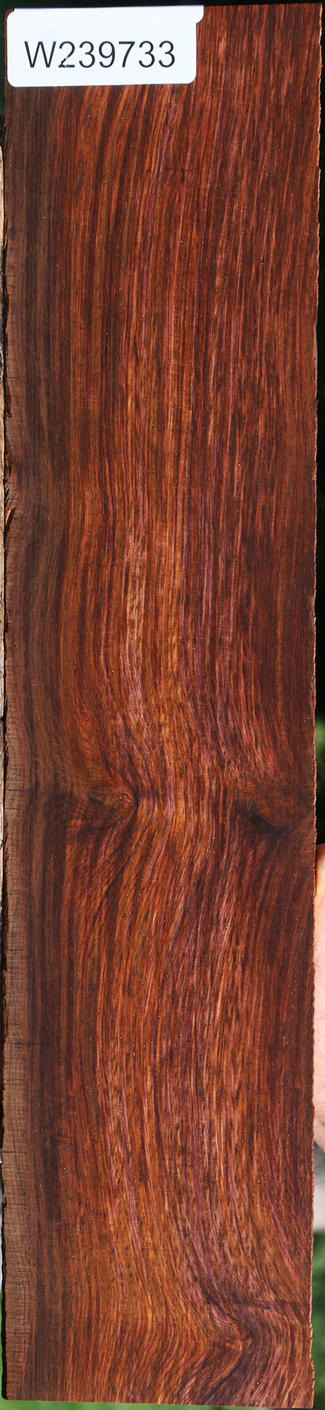 Figured Cocobolo Micro Lumber