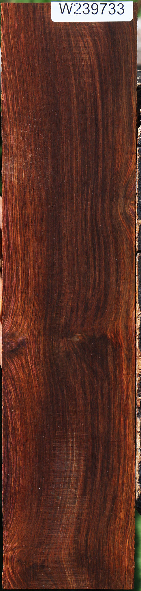 Figured Cocobolo Micro Lumber