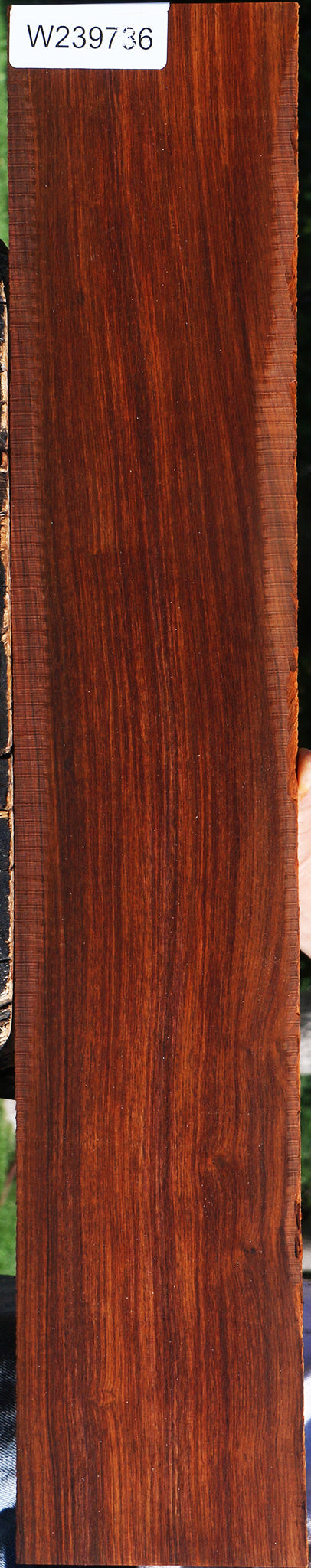 Cocobolo Micro Lumber