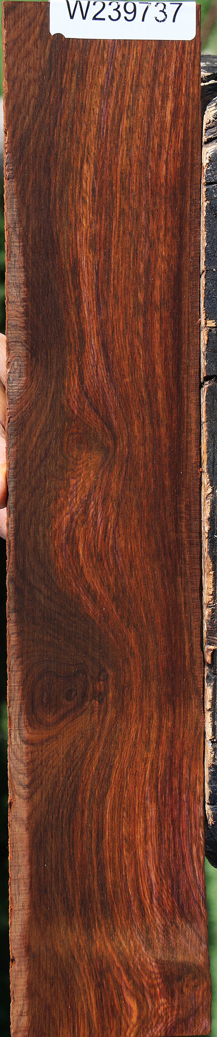 Cocobolo Micro Lumber