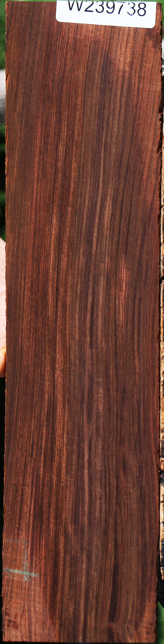 Cocobolo Instrument Micro Lumber