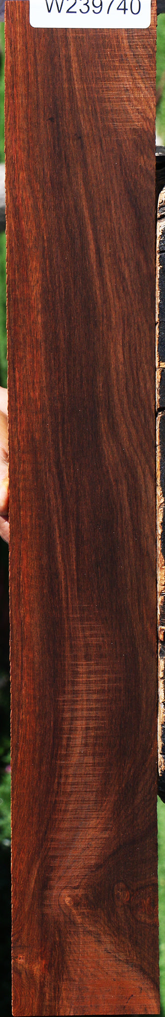 Cocobolo Micro Lumber