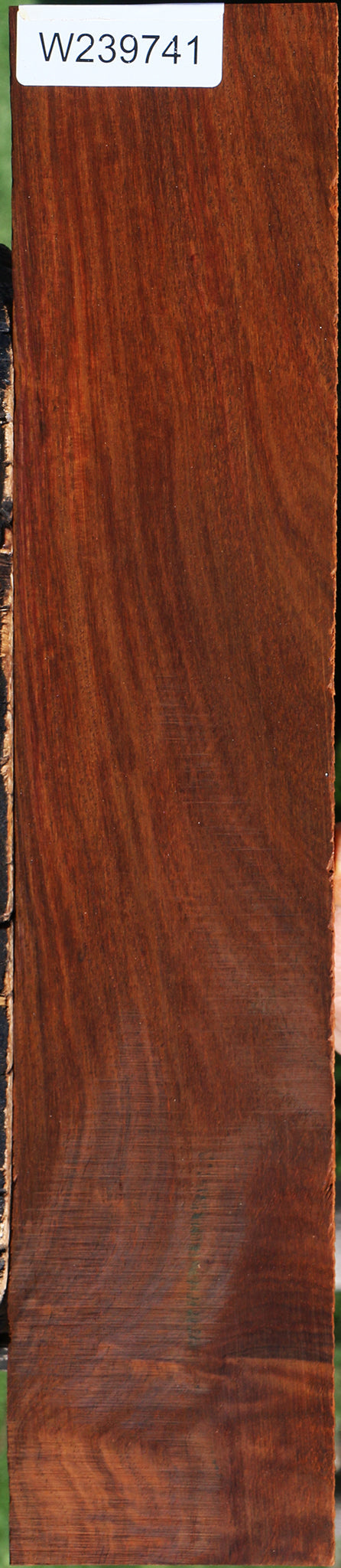 Cocobolo Micro Lumber