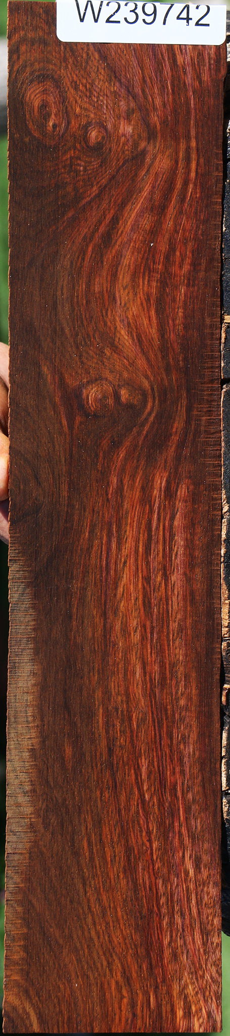 Cocobolo Micro Lumber