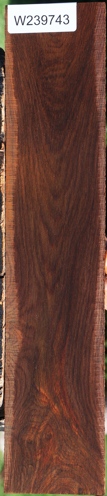Cocobolo Micro Lumber
