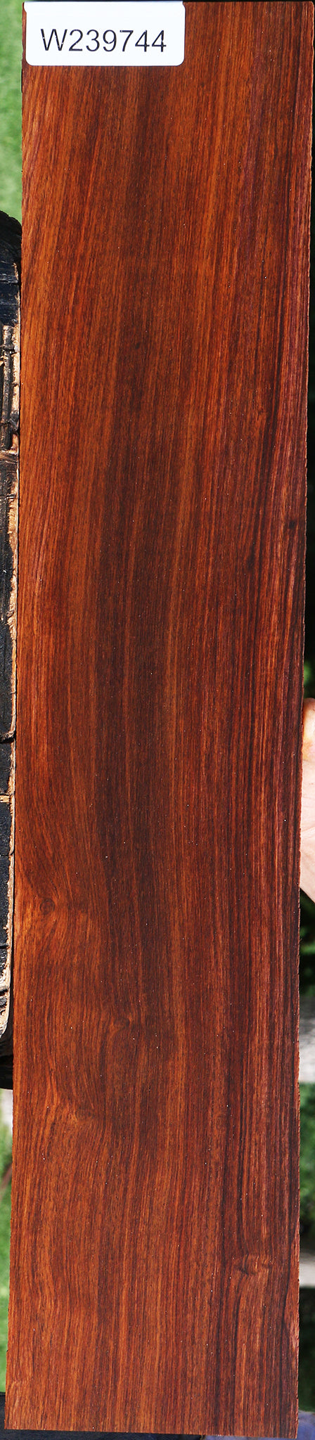 Cocobolo Micro Lumber