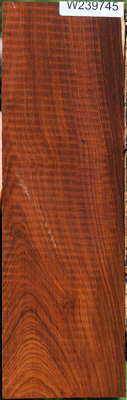 Cocobolo Micro Lumber